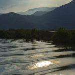 View from one of the river boats on the delta